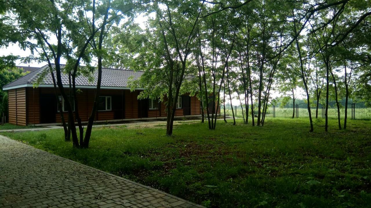 Отель Лагита Сергеевка Экстерьер фото
